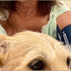 Cancer sucks !!! service dogs save lives.
Life is like a box of chocolates.,